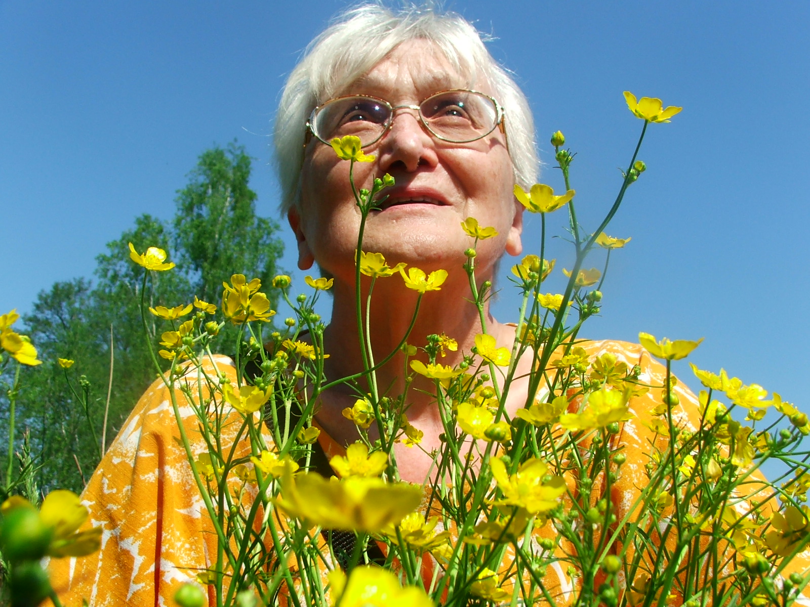 grandmother-flower.jpg
