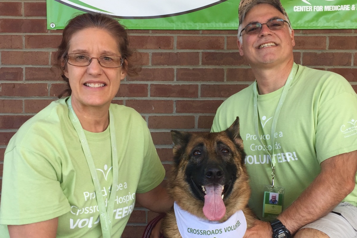 how to volunteer with your dog
