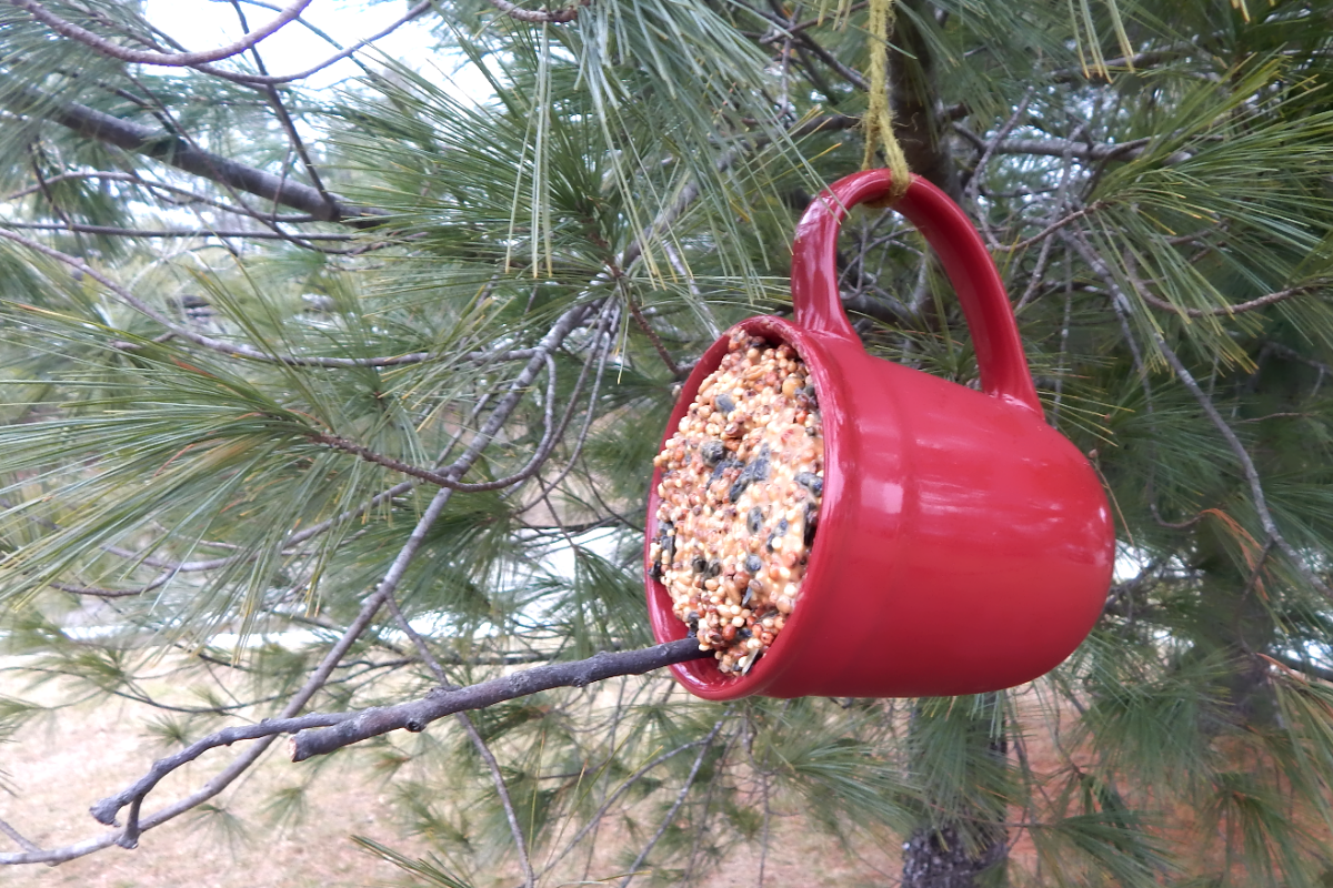 bird feeder coffee mug dementia craft